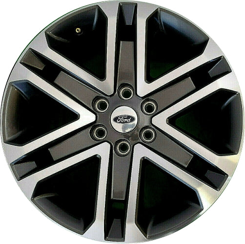 Ford Center Lock Rim Ford F150 wheel lock / 4-pack – Rimgard® (Int)